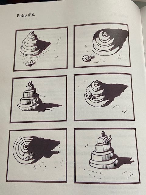 A page of hand-drawn snail studies
